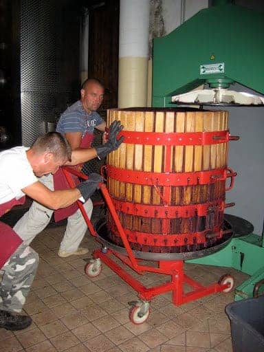 piedmont-winemaking